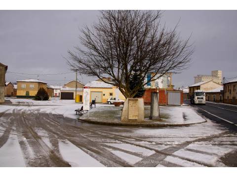 HOMENAJE AL PEREGRINO